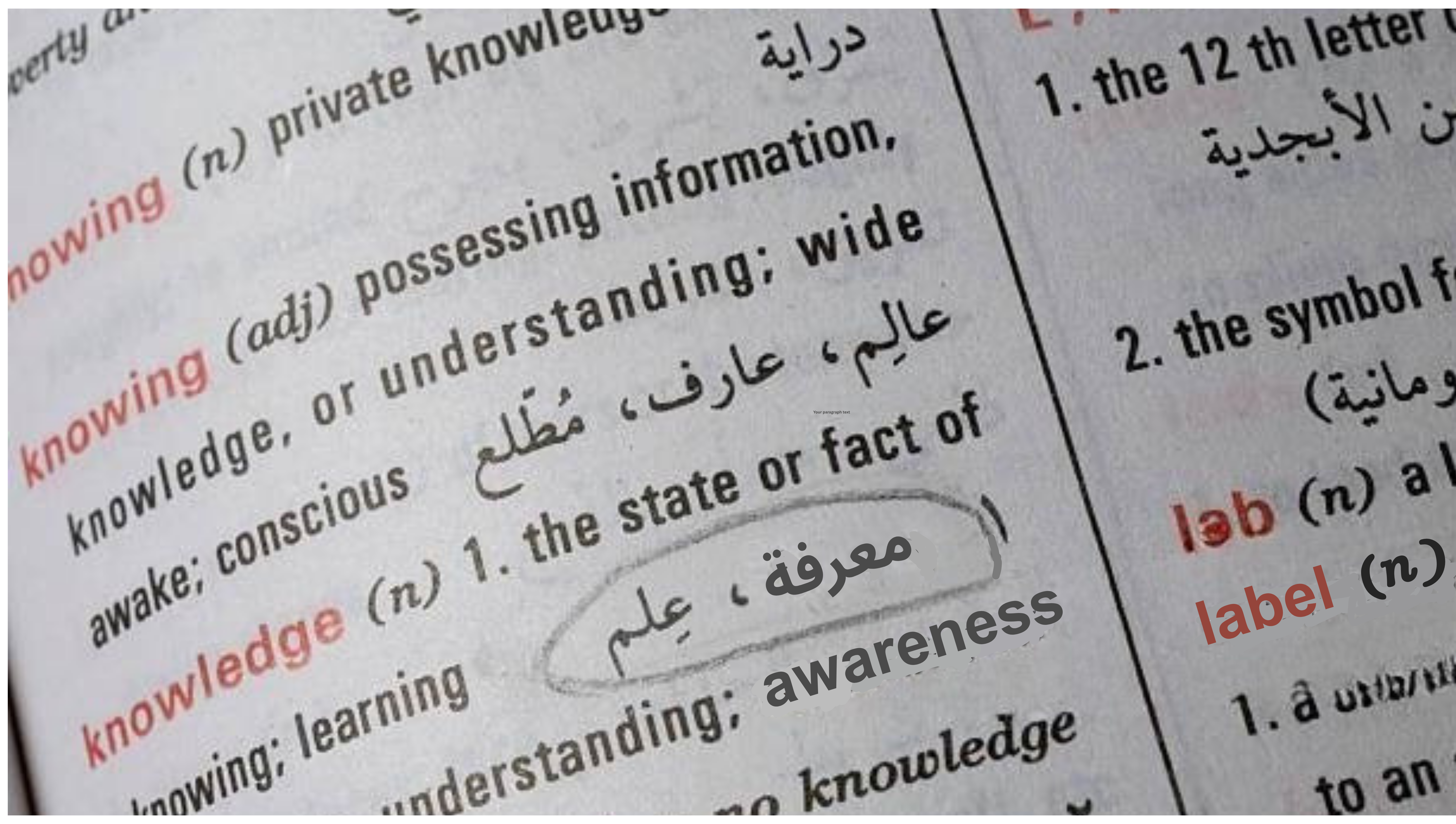 Vocabulary Lists